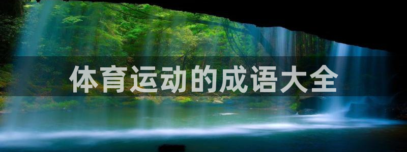 体育运动的成语大全
