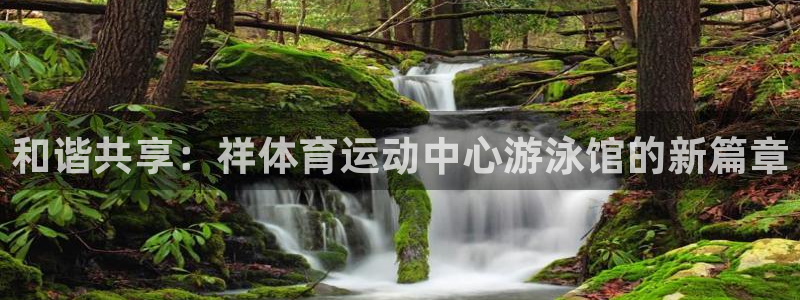 和谐共享：祥体育运动中心游泳馆的新篇章