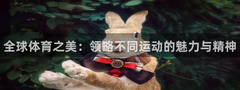 全球体育之美：领略不同运动的魅力与精神