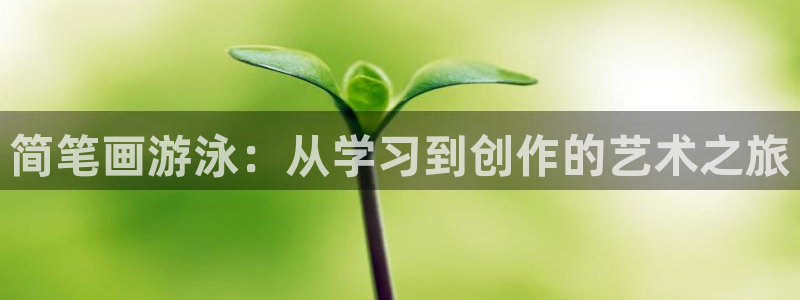简笔画游泳：从学习到创作的艺术之旅